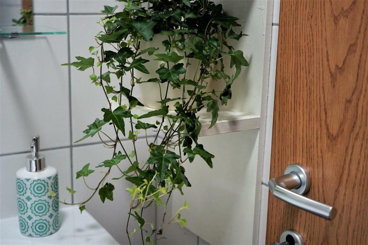Momo'S Studio Apartment Загреб Екстериор снимка